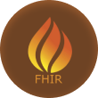 FHIR Large